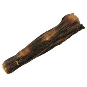 RABO DE TORO 23cm