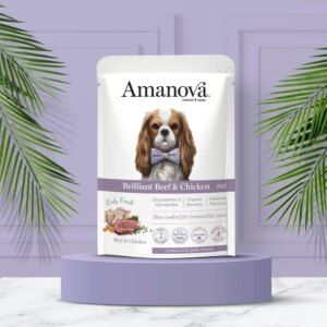 Dog Pouch P01 Adult NG Beef & Chicken 300 gr