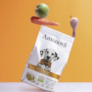 Dog Medium Puppy Chicken 2 kg