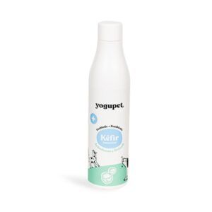 Kéfir Aràndanos & Brocoli (200ml)