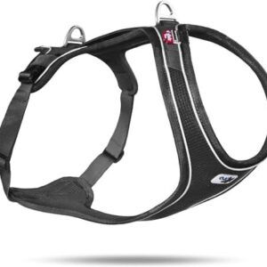 Curli arnés BELKA T. 2XL Color Negro de 16,5 a 24kg