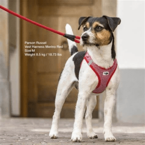 Curli Arnés MERINO para perros T-2XS ROJO